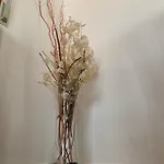 Appartamento A Casa Di Vanna Montese